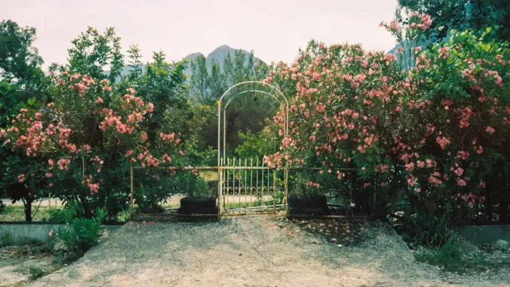 Gated Community Garden